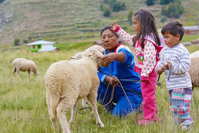 Social Impact Assessment in Relation to Involuntary Resettlement and Land Acquisition